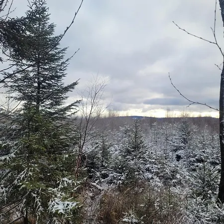 Hunsruecker Tiny Ferien R