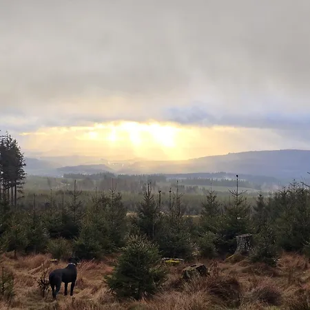 Hunsruecker Tiny Ferien R 別荘 Hottenbach
