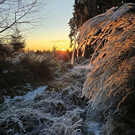 Holiday home Hunsruecker Tiny Ferien R Hottenbach