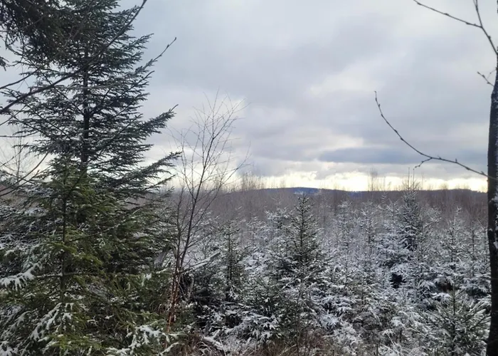 Hunsruecker Tiny Ferien R