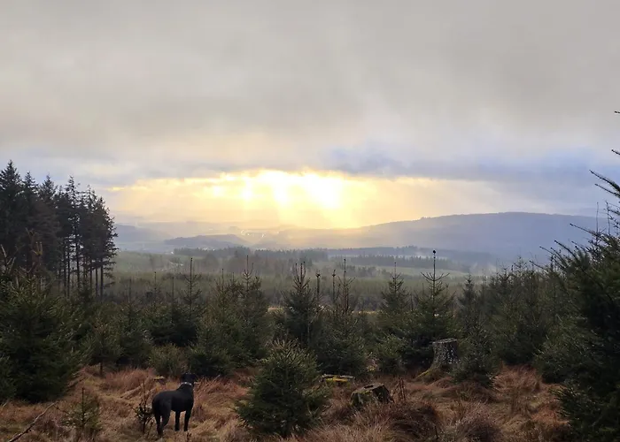 Hunsruecker Tiny Ferien R Casa de Férias Hottenbach