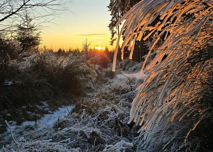 Vakantiehuis Hunsruecker Tiny Ferien R Hottenbach
